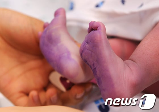 © News1 박철중 기자