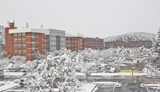 국립 군산대학교 전경. © News1 김재수 