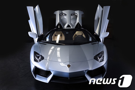 람보르기니 아벤타도르 LP700-4 로드스터 © News1   류종은 기자