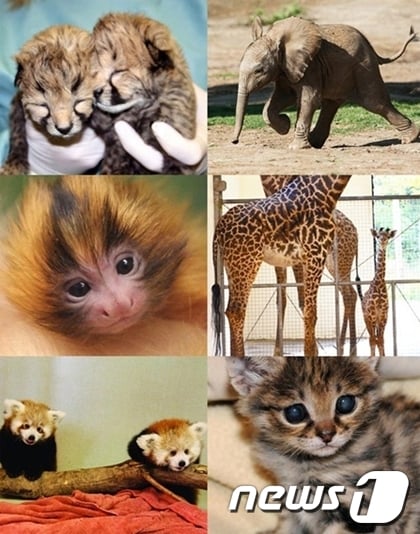 여행 매거진 '트레블앤레져' 