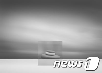 이설제 작 © News1 