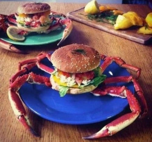 (온라인 커뮤니티) © News1 