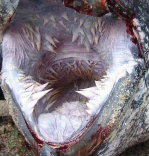  온라인 커뮤니티 게시판. © News1 