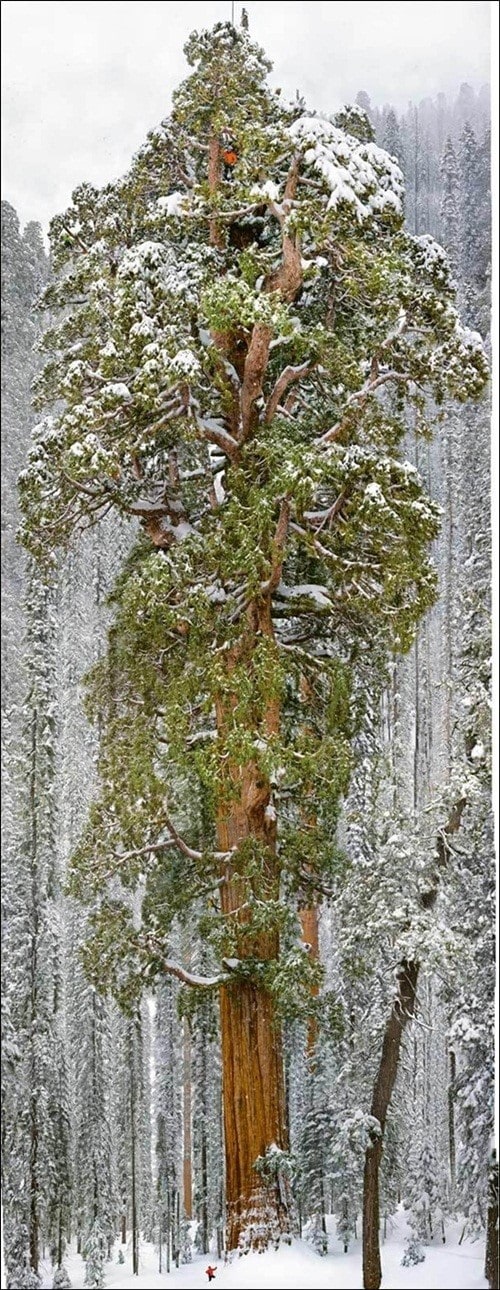 온라인 커뮤니티. © News1 