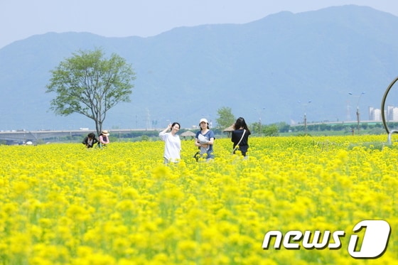 © News1