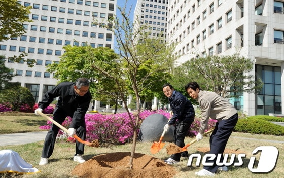 이돈구 산림청장(오른쪽)과 이수원 특허청장(가운데), 김영후 병무청장이 26일 오전 열린 정부대전청사 기관장 합동 유실수 심기 행사에서 앵도나무를 심고 있다. © News1