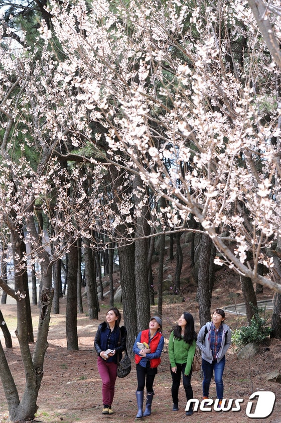  © News1   이동원 기자