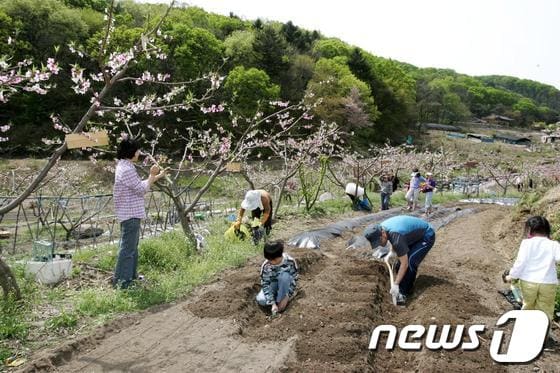 경기 광주시가 개장한 친환경 주말가족농장. /사진제공=광주시 © News1 