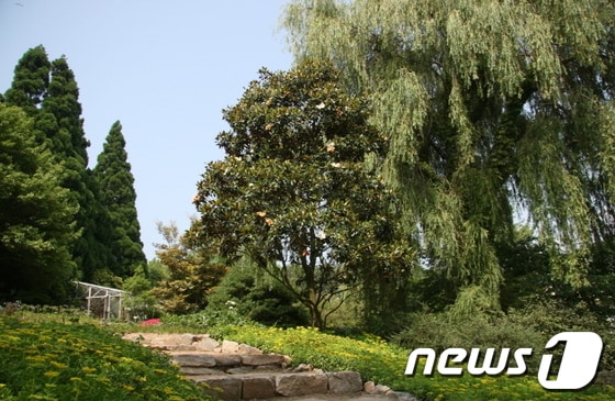 우리나라 최초의 민간수목원인 충남 태안 천리포수목원 © News1 