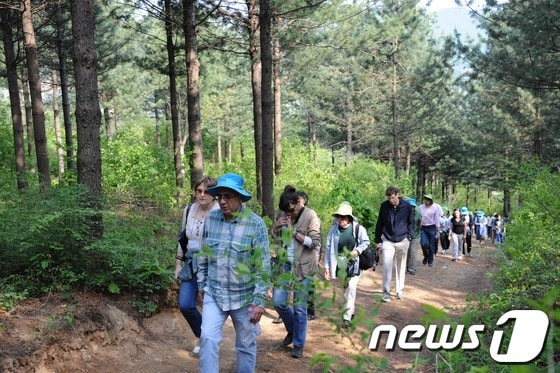 DMZ 산림문화 체험 행사 참가자들이 DMZ 펀치볼 둘레길을 걷고 있다. ⓒ News1