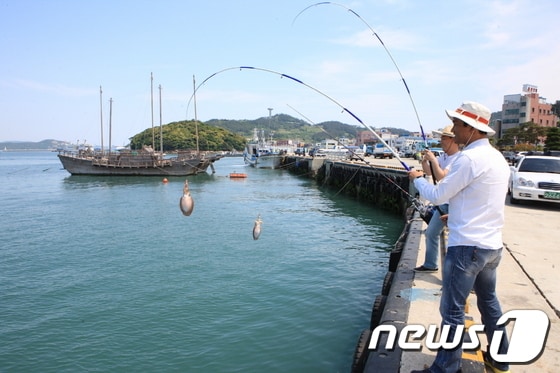 사진제공=완도군© News1