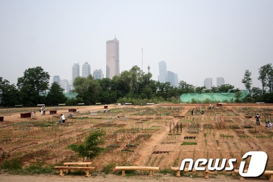 한강대교 밑 노들섬에 도시농업공원인 '노들텃밭'이 조성됐다. © News1 박태정기자 
