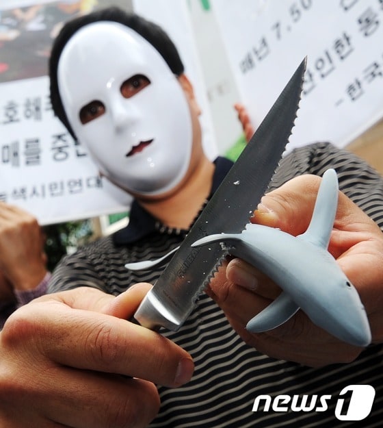 한국동물보호연합과 녹색시민연대 회원들이 지난 5월 서울 소공동 롯데호텔 앞에서 샥스핀(Shark's pin, 상어 지느러미) 요리의 판매 중단을 촉구하는 퍼포먼스를 벌이고 있다. 샥스핀은 상어 지느러미를 떼어낸 뒤 산채로 바다에 버리는 잔혹한 재료 채취 방법이 최근 일반에 알려지면서 미국과 유럽, 아시아 국가들에서 거센 반대 움직임에 직면해 있다. 세계적인 상어보호단체인 '퓨(PEW) 환경그룹'은 