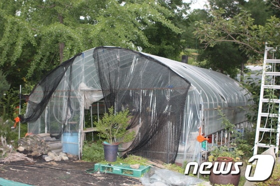 A의원 농장 비닐하우스© News1