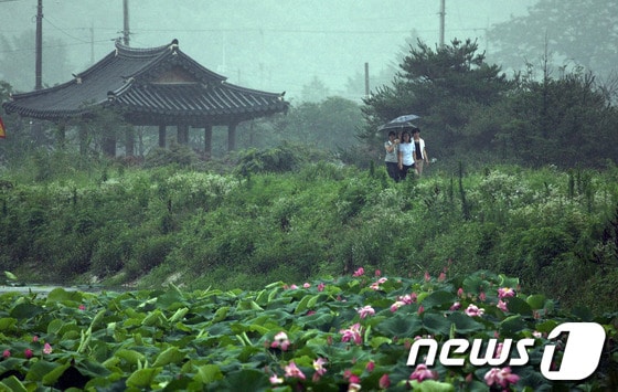 사진제공= 강진군© News1 