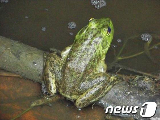 © News1 박동욱 기자