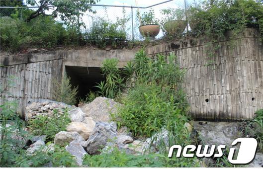 화도공공하수처리장 바이패스 방류구 /사진 한강유역환경청 제공 © News1