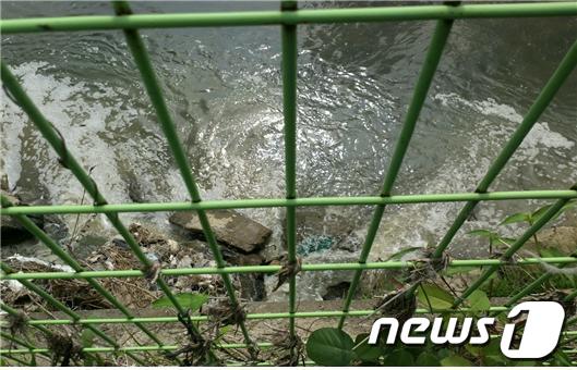 지난 7월31일 적발된 미처리하수 방류 현장 모습 /사진=한강유역환경청 제공 © News1