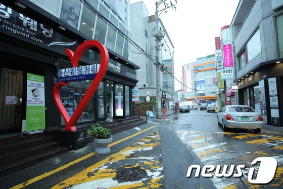 울산 남구청은 최근 삼산동 세이브존 앞 일대에 웨딩거리 조성을 마쳤다. 사진은 24일 울산웨딩거리 전경. © News1