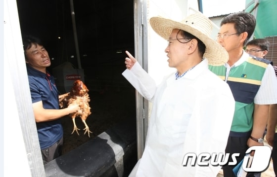 김완주 지사는 8일 폭염피해 현황을 파악하기 위해 남원시 갈치동에서 닭을 키우고 있는 김춘식씨 농장을 찾아 김씨를 위로했다./사진제공=전북도 © News1