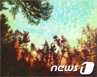 변영미 작가의 '검은 숲' / 사진제공=갤러리 D © News1