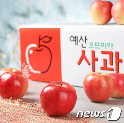 예산사과이미지© News1 