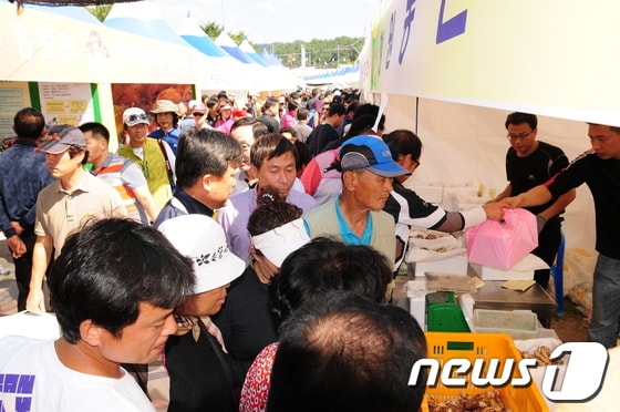 사진제공=봉화군청 © News1