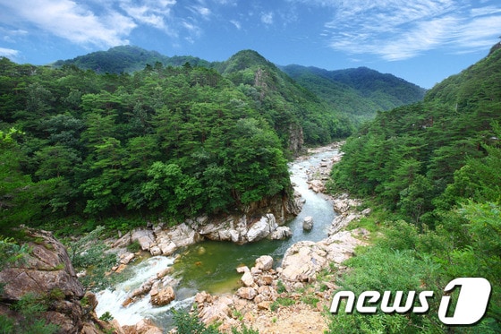                                                                                                                                   사진제공=울진군© News1 