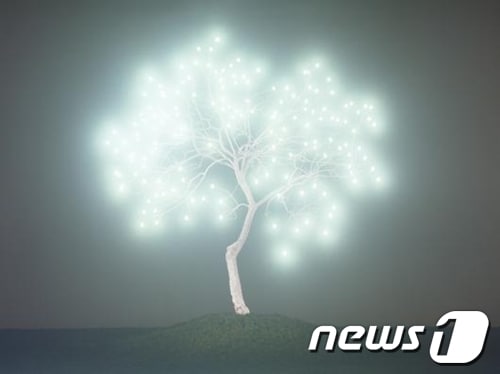 이정록의 '생명나무'© News1 