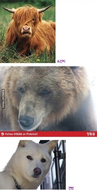 온라인 커뮤니티 © News1 