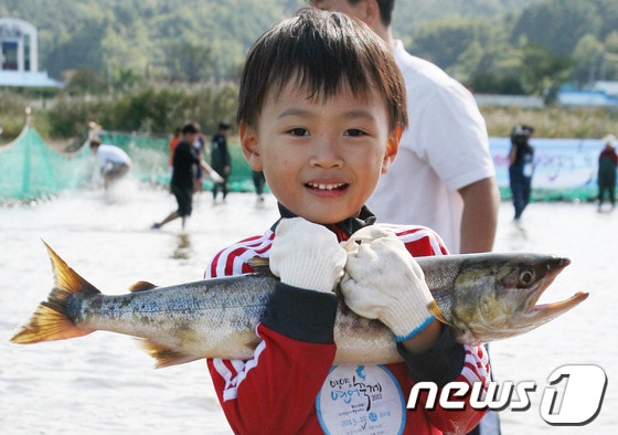 18일 강원도 양양남대천에서 개막한 2013 양양연어축제에서 연어맨손잡기 체험에 참가한 한 어린이가 잡은 연어를 들고 밝게 웃고 있다. 2013.10.18/뉴스1 © News1   엄용주 