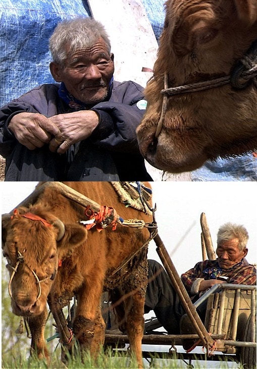 영화 '워낭소리'에 출연한 최원균 할아버지(출처=영화 '워낭소리' 스틸컷) © News1