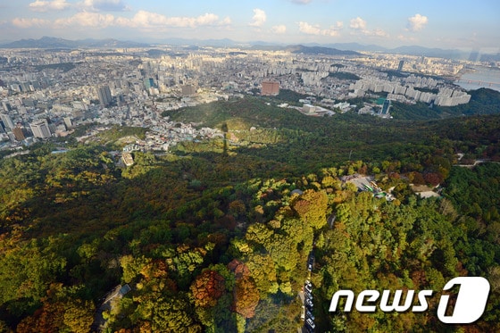 완연한 가을 날씨를 보인 20일 서울 N서울타워에서 본 남산이 가을색으로 물들어가고 있다. 2013.10.20/뉴스1 © News1   손형주 기자
