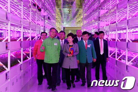 박근혜 대통령이 20일 오전 전남 순천시 순천만 국제정원박람회장을 방문, 전시관을 둘러보고 있다. (청와대 제공) 2013.10.20/뉴스1 © News1 박철중 기자