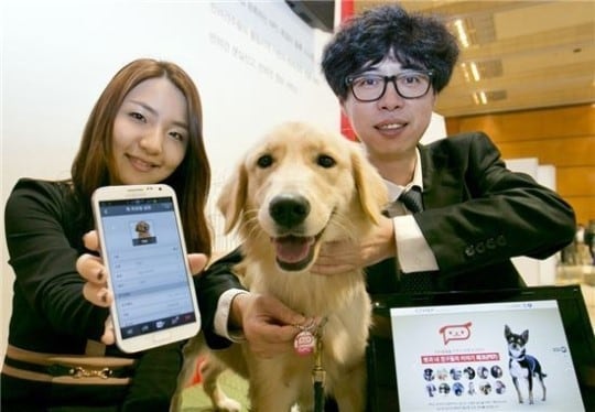 KT가 23일부터 25일까지 서울 삼성동 코엑스에서 사물지능통신(M2M) 전시회로 열리고 있는 'RFID/IoT 월드 콩그레스 2013' 행사에서 반려동물 의무등록제도의 시행에 따라 선보인 NFC 기반의 반려동물 인식표를 제공하는 반려견 전용케어 서비스를 선보이고 있다.(사진제공=KT) News1 © News1  