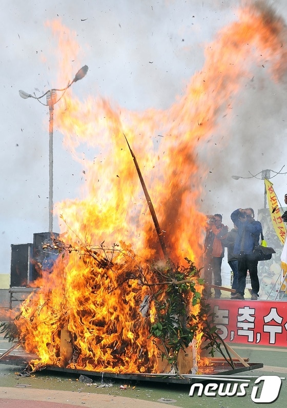 31일 오후 제주시 건입동 탑동광장에서 한·중 FTA중단 제주도 1차 산업 생산자단체 비상대책위원회와 제주농협운영협의회에 소속된 농민들이 한중FTA 협상 중단을 촉구하며 감귤나무를 태우는 화형식을 가졌다. 2013.10.31/뉴스1	 © News1   이상민 기자