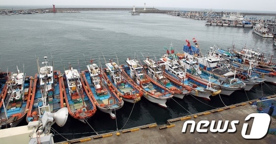 24호 태풍 ‘다나스’가 우리나라를 향해 점차 북상중인 가운데 7일 오후 수백척의 어선들이 제주시 제주항으로 피항해있다. 2013.10.7/뉴스1 © News1 이상민 기자