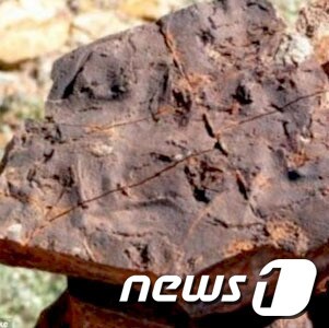 35억년전 미생물 흔적&#40;온라인 커뮤니티&#41;© News1  