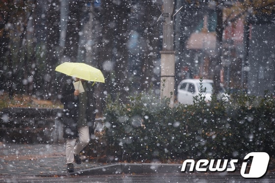 서울을 비롯한 중부지방에 많은 눈이 내린 27일 오후 서울 중구 순화동에서 한 시민이 눈을 맞으며 횡단보도를 건너고 있다.기상청은 저녁까지 중부지방을 중심으로 많은 눈이 내린 후 내일 오전 서울이 영하5도까지 떨어지는 등 추위가 절정에 이를 것으로 예상했다. 2013.11.27/뉴스1 © News1 유승관 기자