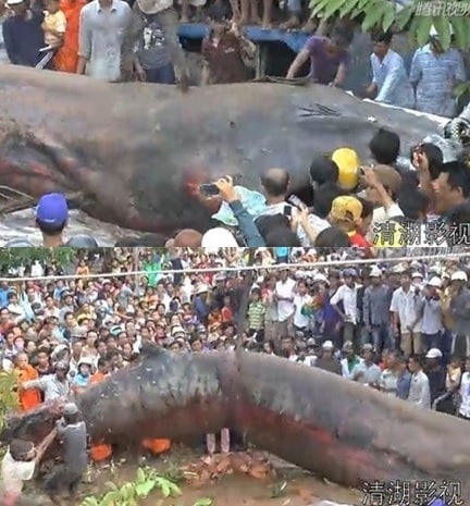 해당 영상 캡처. © News1