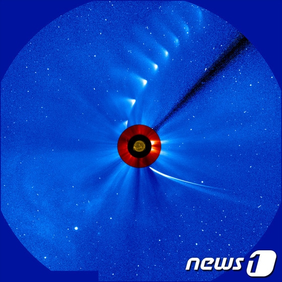 지난 2일(현지시간) 미국 항공우주국(나사)가 만든 시간대별 아이손의 모습. 태양에 접근하기 전(아래)에는 핵과 함께 긴 꼬리를 유지하고 있으나 태양 인근을 지난 후에는 점차 빛이 소멸해 잔해만 남고 있다.© AFP=News1