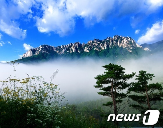 설악산 울산바위.(문화재청 제공)