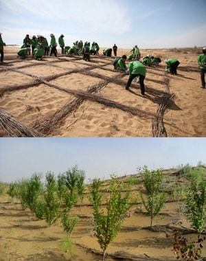 서울시 방풍림 식재활동. © News1  