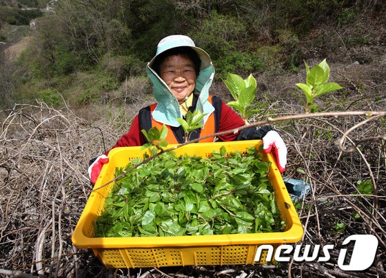 © News1 주윤한 기자