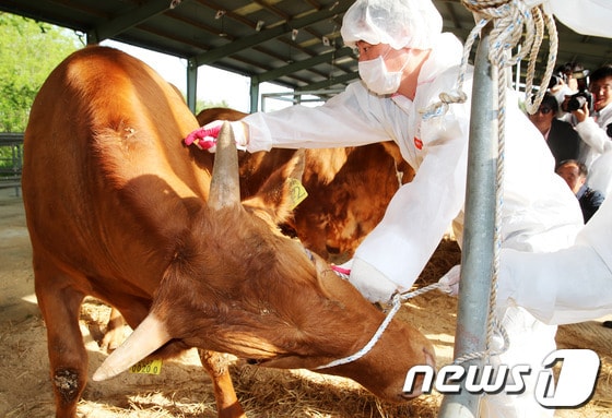 © News1 오대일 기자