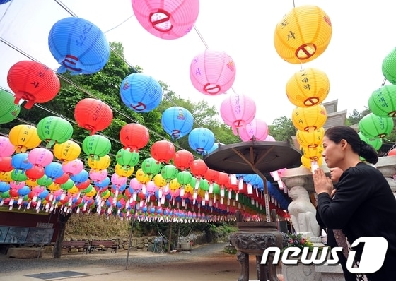불기 2557년 석가탄신일을 하루 앞둔 16일 오후 울산 남구 정토사 연등 아래서 불자들이 기도를 하고 있다. 2013.5.16/뉴스1 © News1 노화정 기자