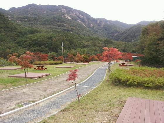 충남 논산시 대둔산도립공원 내 마련된 오토캠핑장 전경. © News1