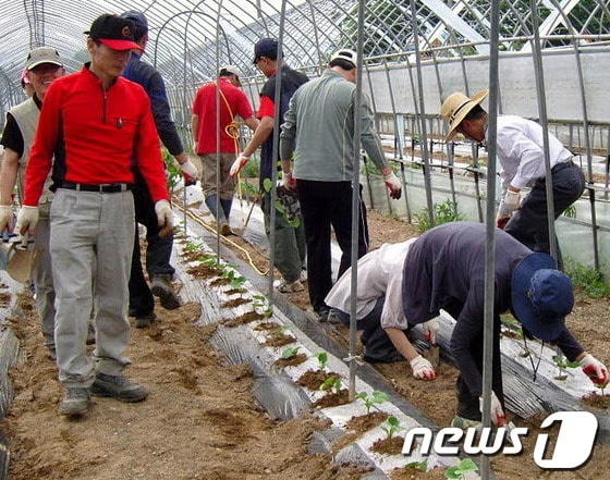사진제공=제천시. © News1