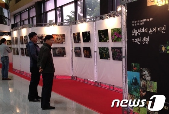목포자연사박물관이 1층 로비에서 전시 중인 '희귀동식물 사진전'을 시민들이 관람하고 있다/사진제공=목포자연사박물관© News1 