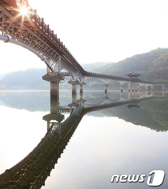 사진제공=안동시농업기술센터 이용덕 © News1